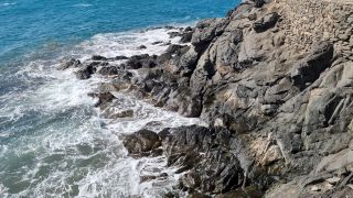 2024-01-Paseo_Costa_Canaria-San_Agustin-Ingles-062.jpg